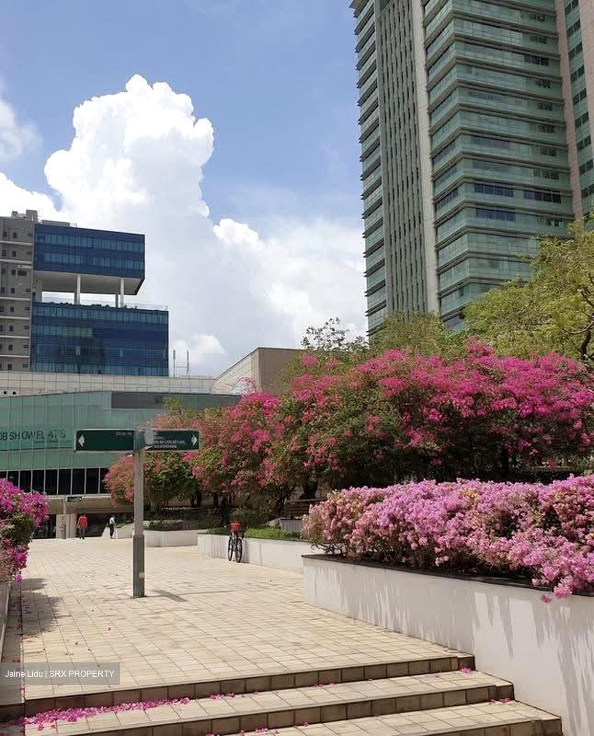 Toa Payoh Central (D12), Shop House #611829521